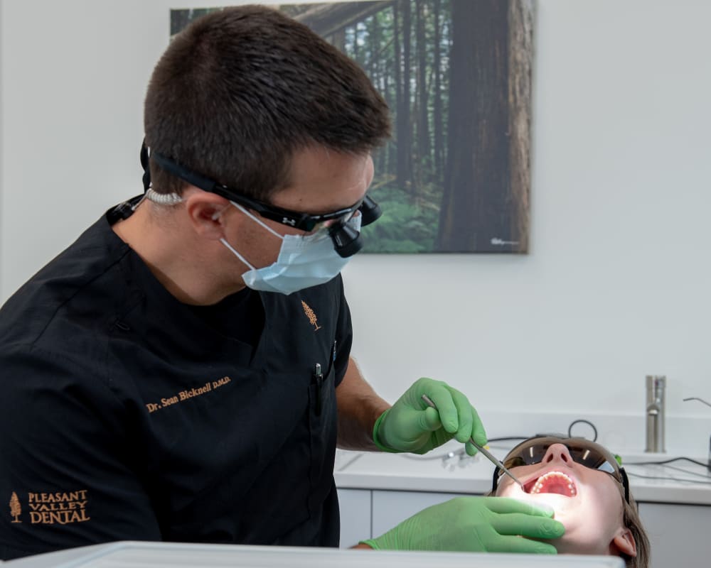 Dental Services in Vernon